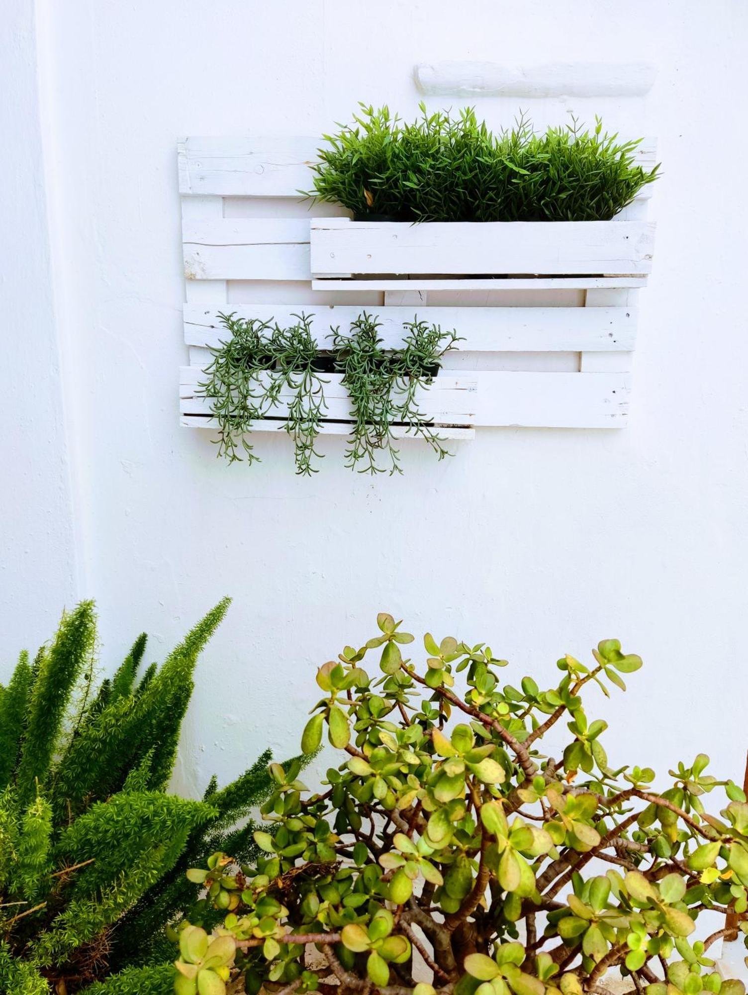 Carola Guesthouse Tarifa Exterior photo